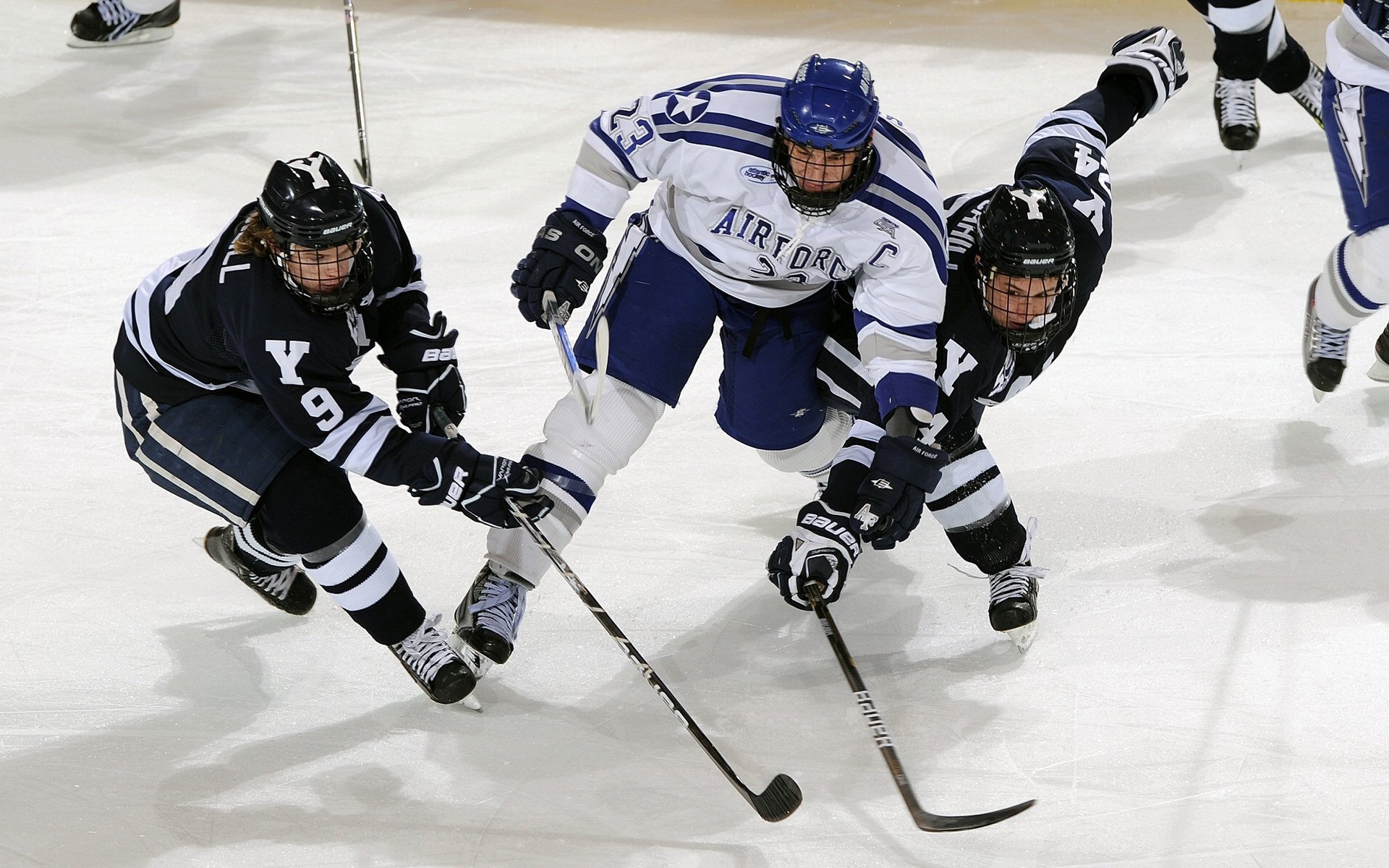 公牛压哨绝杀浙江队，F1年度争冠的赛道启示录